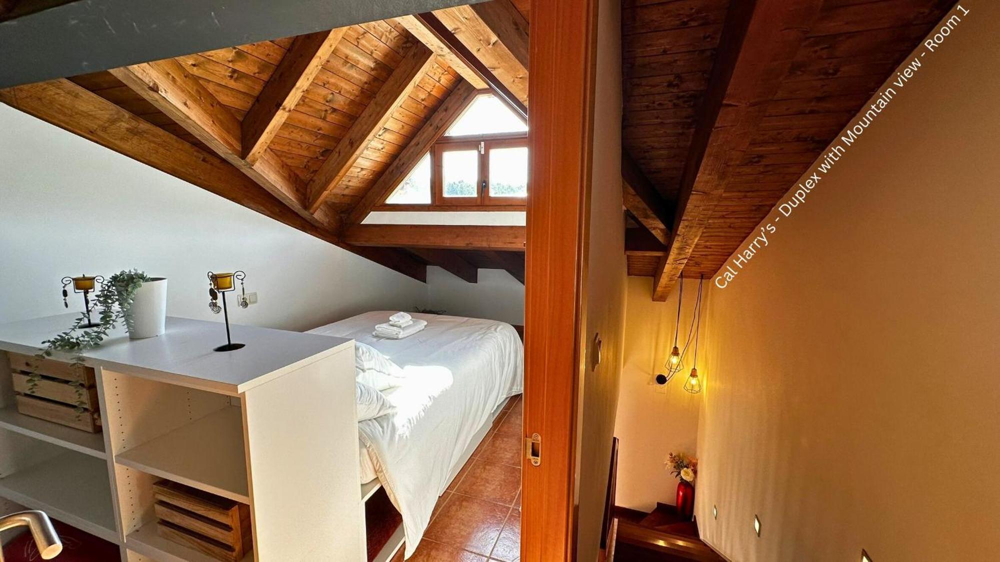 Cal Harrys - La Mejor Casa De Vacaciones En Pyrenees Con Vistas A La Montana Sant Pau de Seguries Zewnętrze zdjęcie