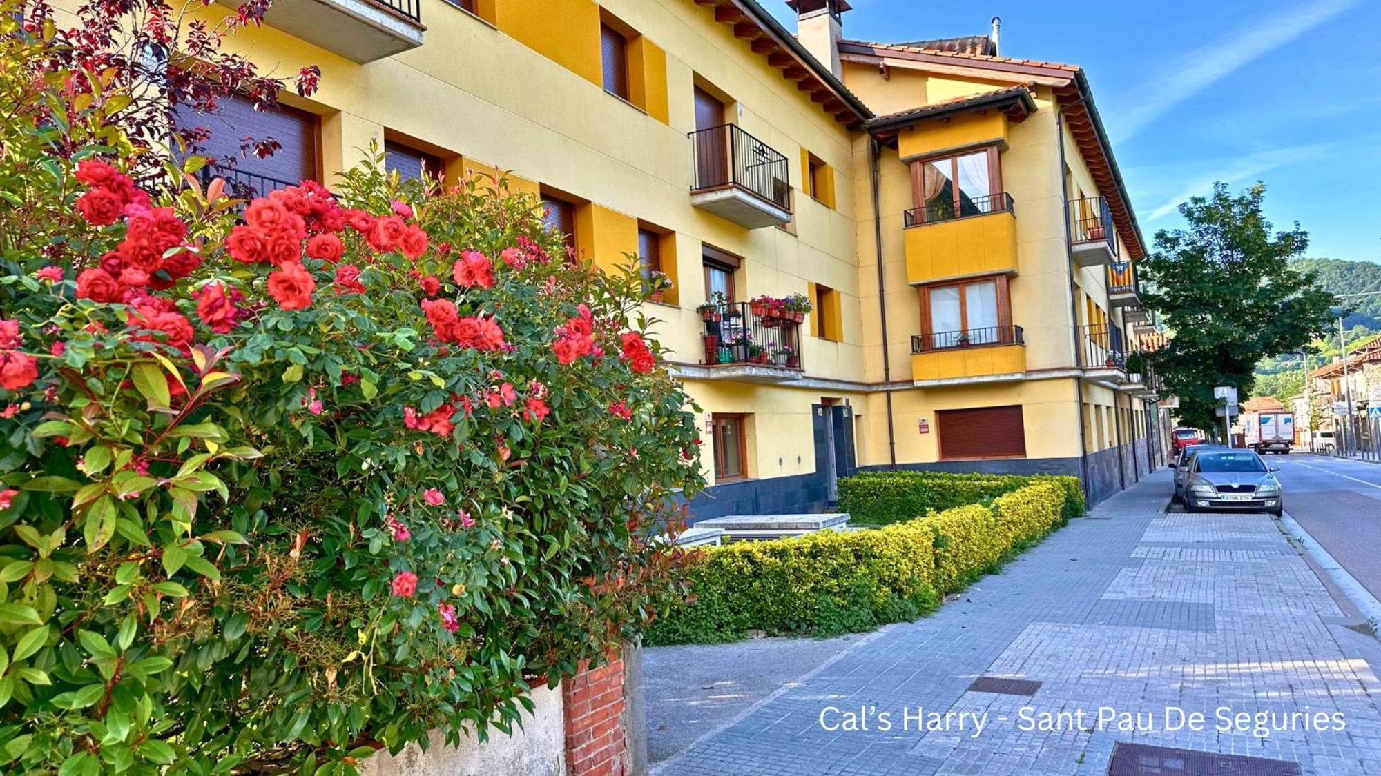 Cal Harrys - La Mejor Casa De Vacaciones En Pyrenees Con Vistas A La Montana Sant Pau de Seguries Zewnętrze zdjęcie