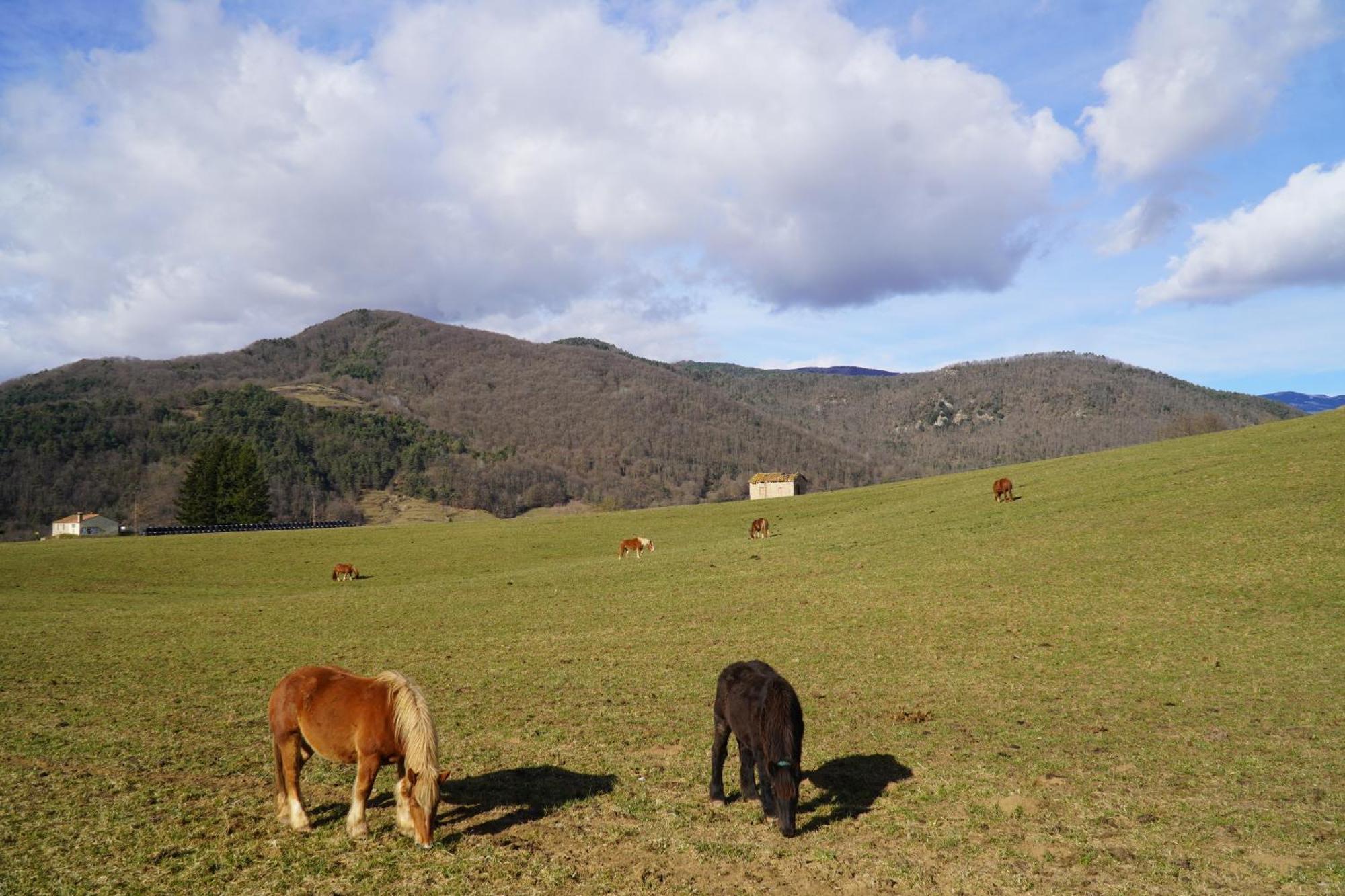 Cal Harrys - La Mejor Casa De Vacaciones En Pyrenees Con Vistas A La Montana Sant Pau de Seguries Zewnętrze zdjęcie